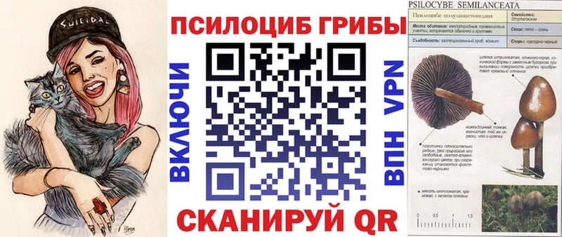 Галлюциногенные грибы мицелий Острогожск