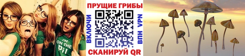 Псилоцибиновые грибы прущие грибы  купить   Острогожск 